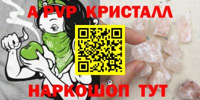 ECSTASY Канаш