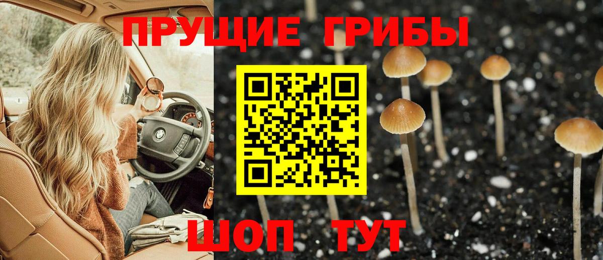 Псилоцибиновые грибы мицелий Скопин