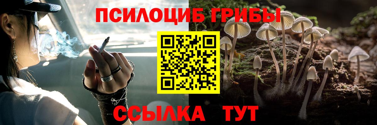 Галлюциногенные грибы Psilocybe  Вход с VPN  Галлюциногенные грибы Cubensis  Скопин 